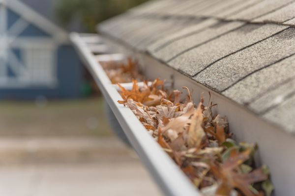 Leaf Barrier Installation in Arlington Heights
